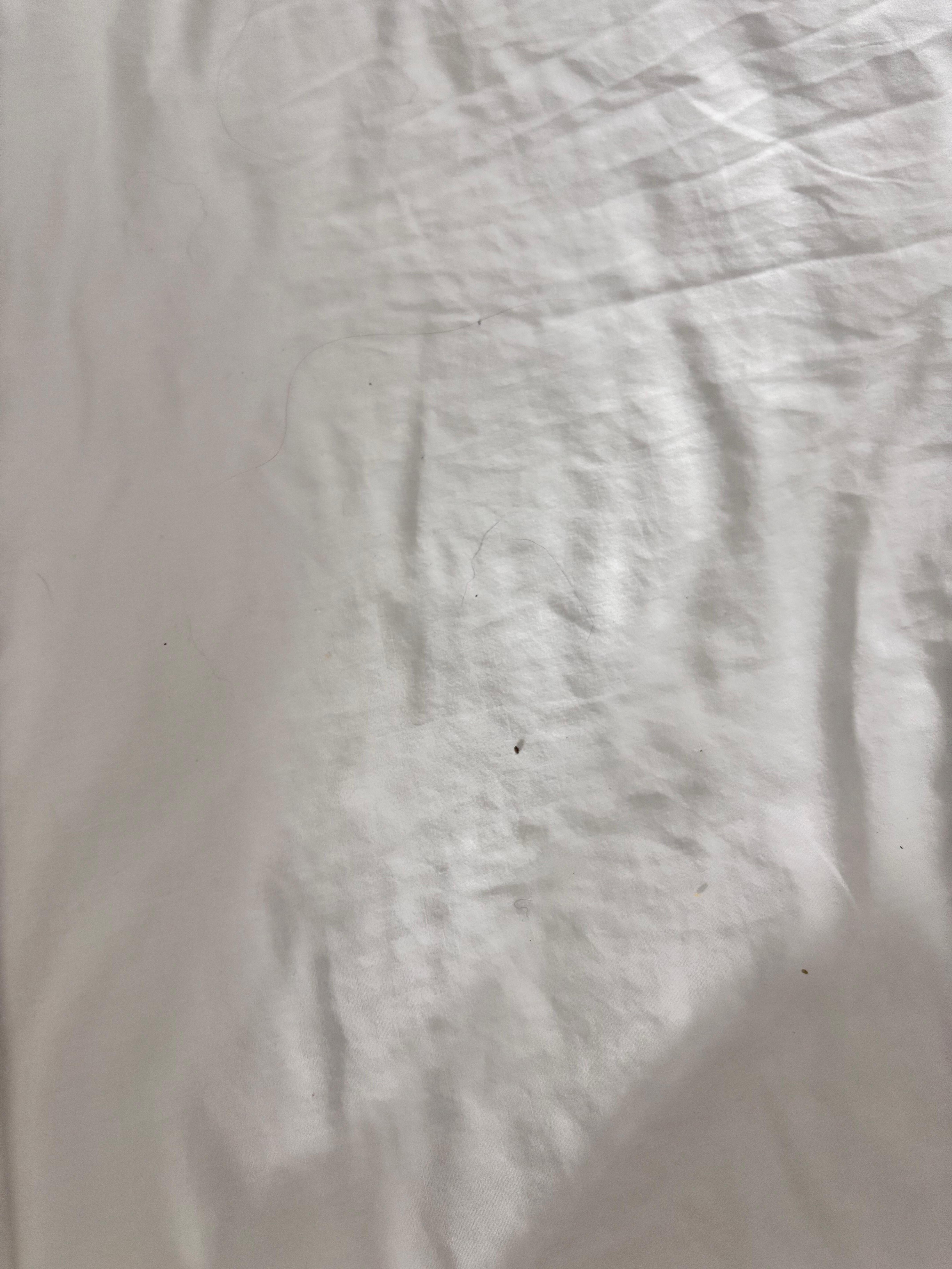 This is why we left and slept in the car 