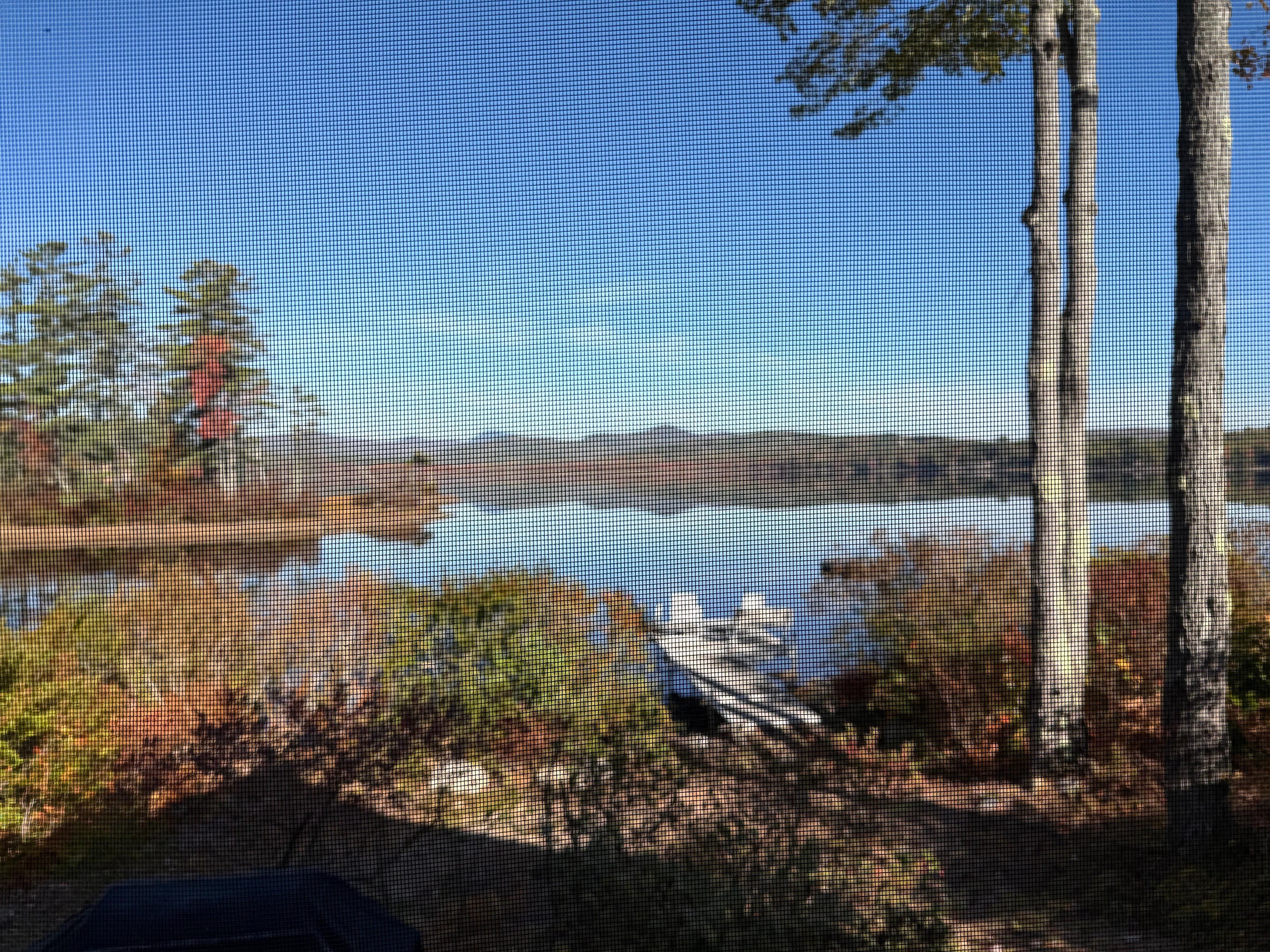 View from screen porch