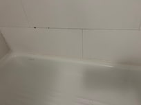 walls need repainted