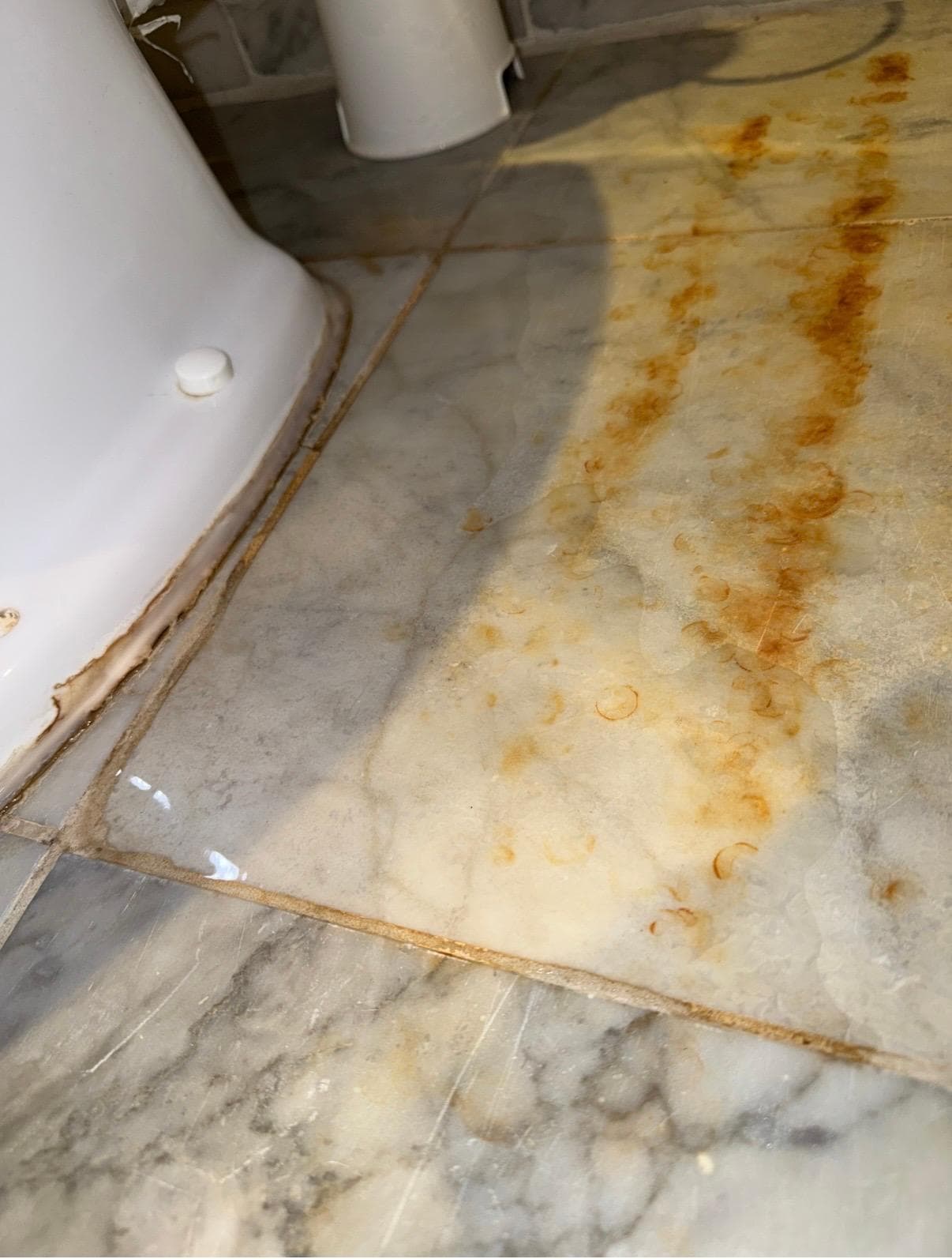 Toilet water on the floor