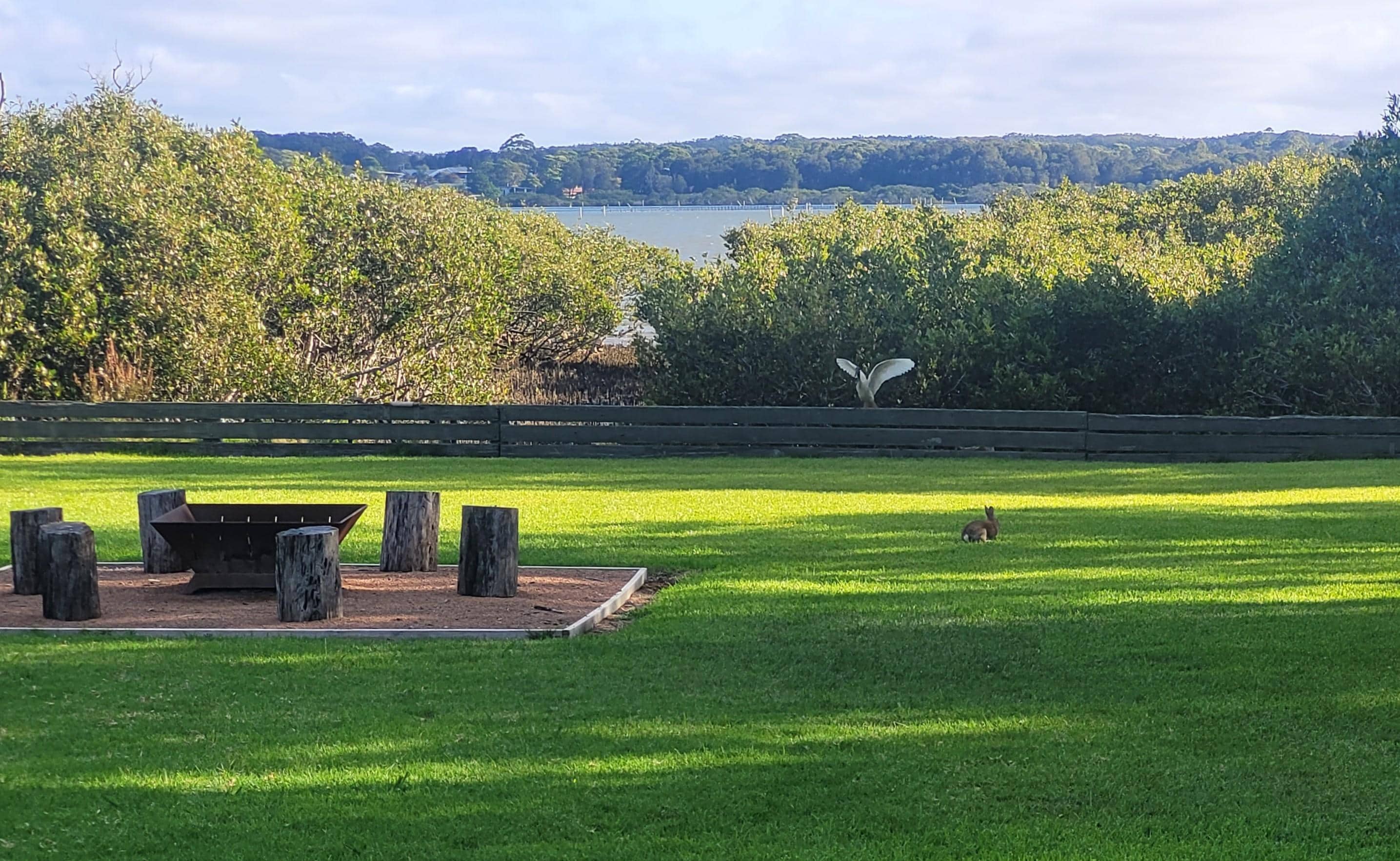 Glimpses of Curleys Bay from the backyard
