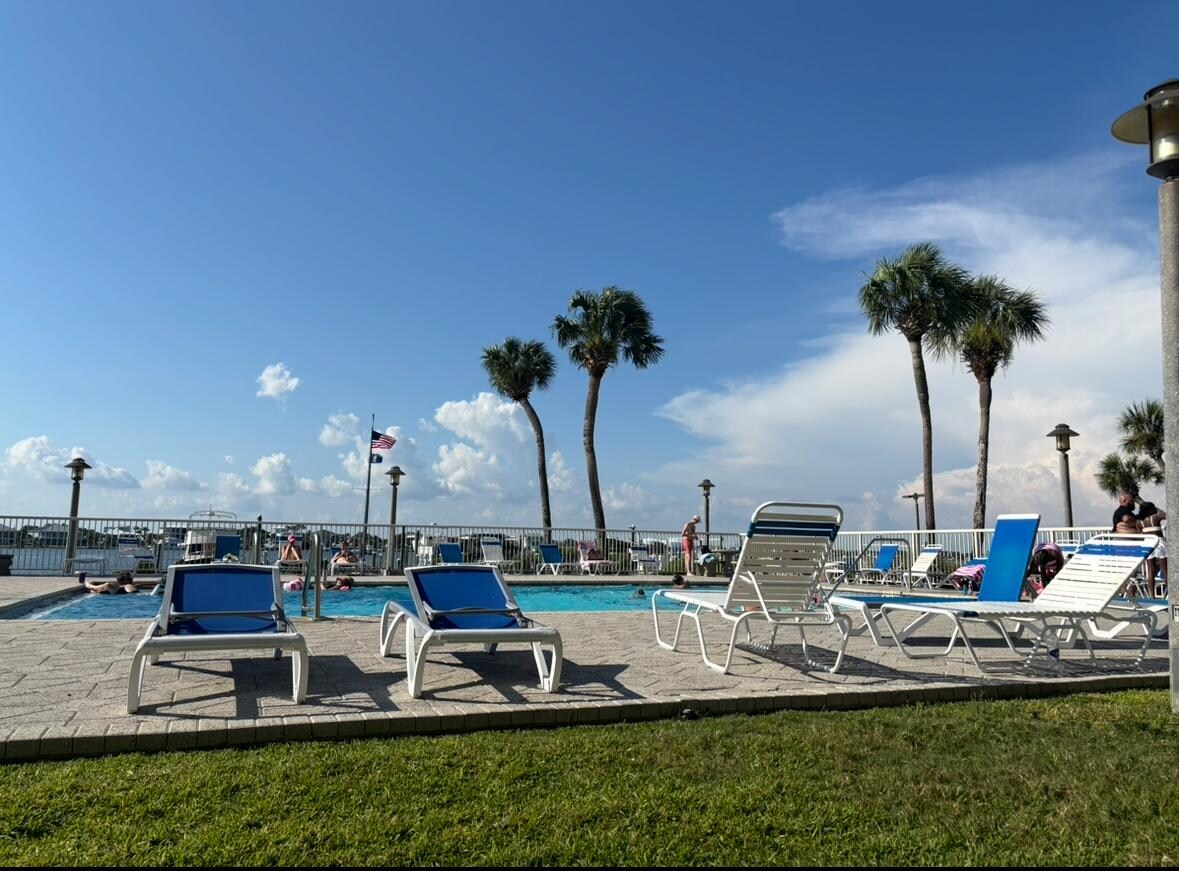 The swimming pool