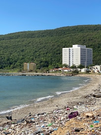 Sad to see so much debris washed up from the hurricane.