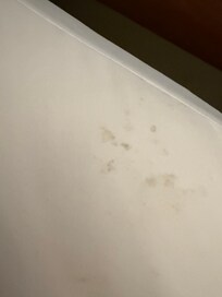 Mold?