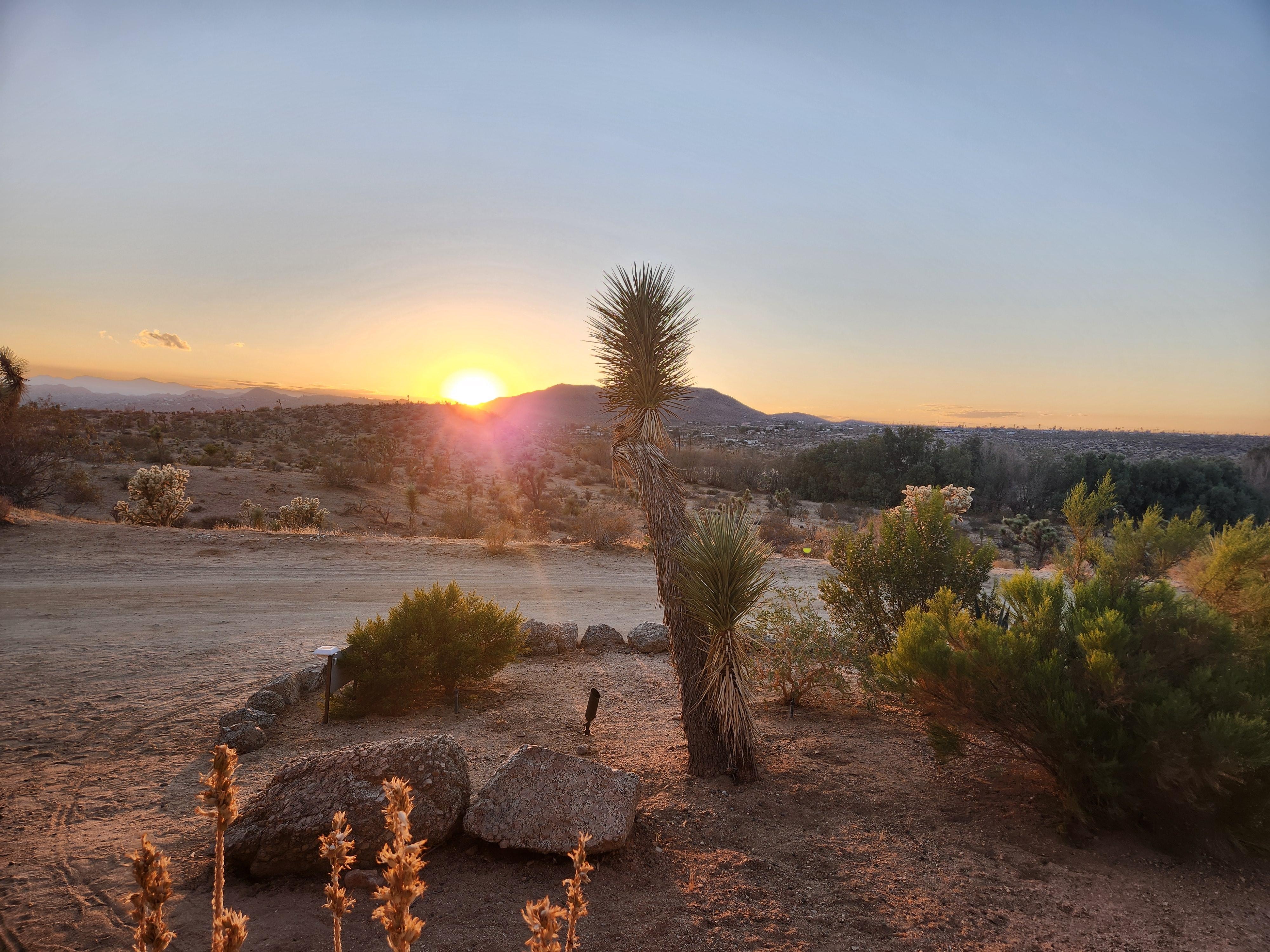 View from patio