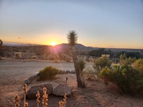 View from patio