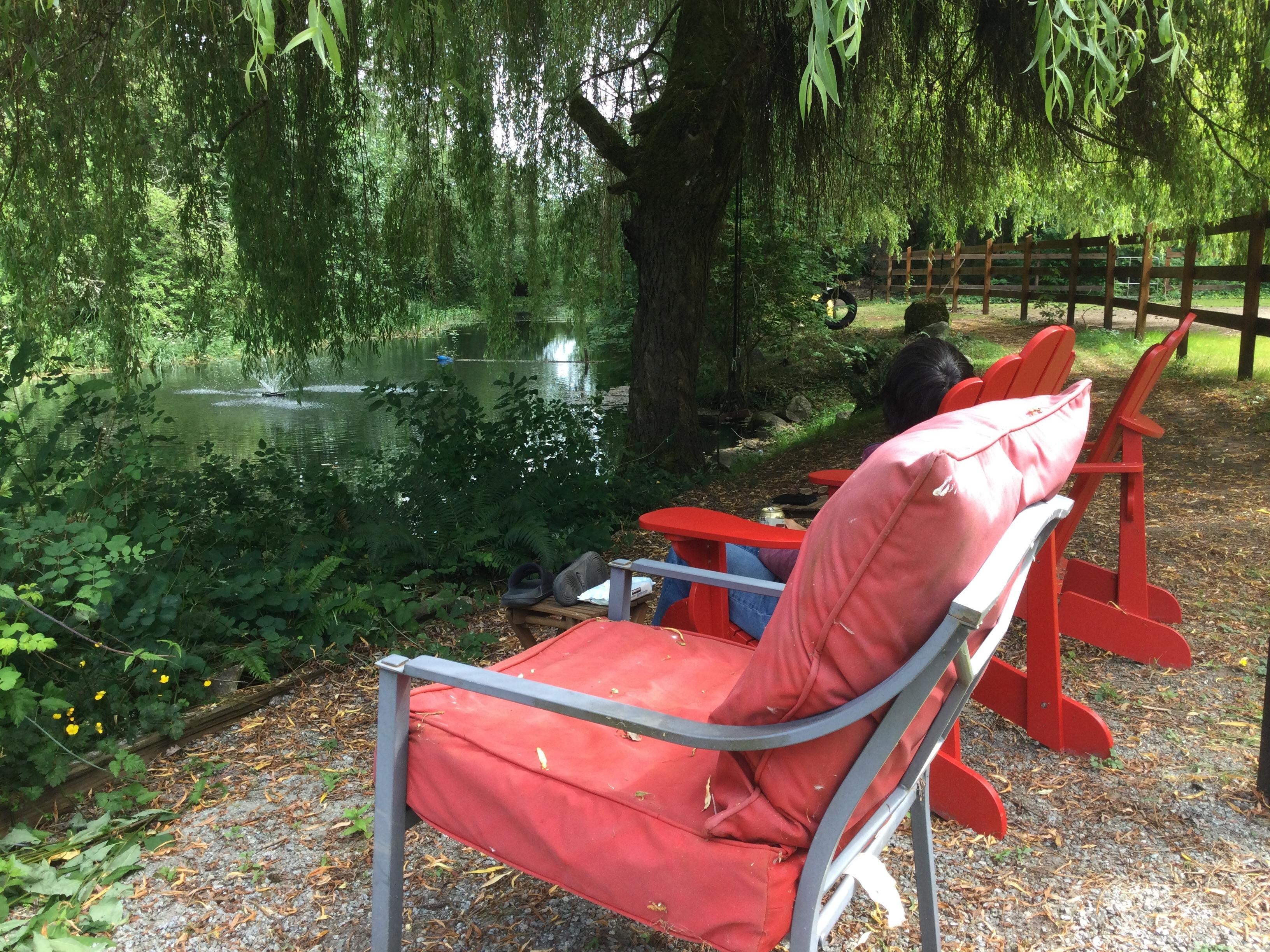 Seating in front of the pond. Best place to sit and relax any time of day.