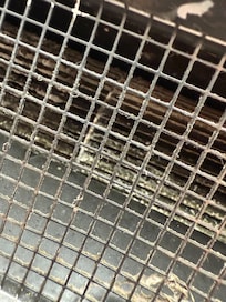 Mold inside of AC unit