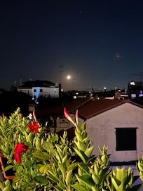 Night view from the rooftop