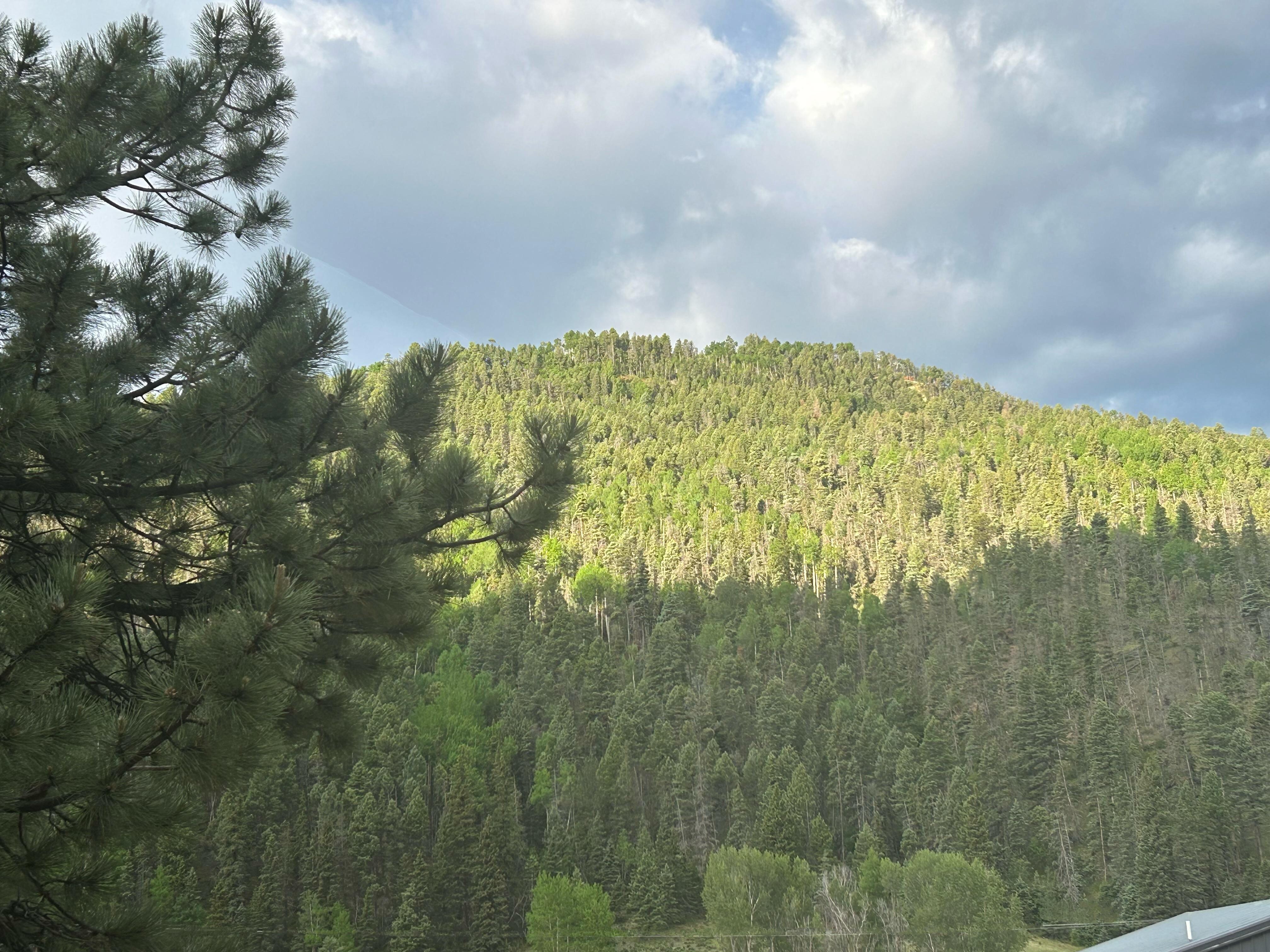 The view from the porch if you look beyond and above the 4-wheeler rental center