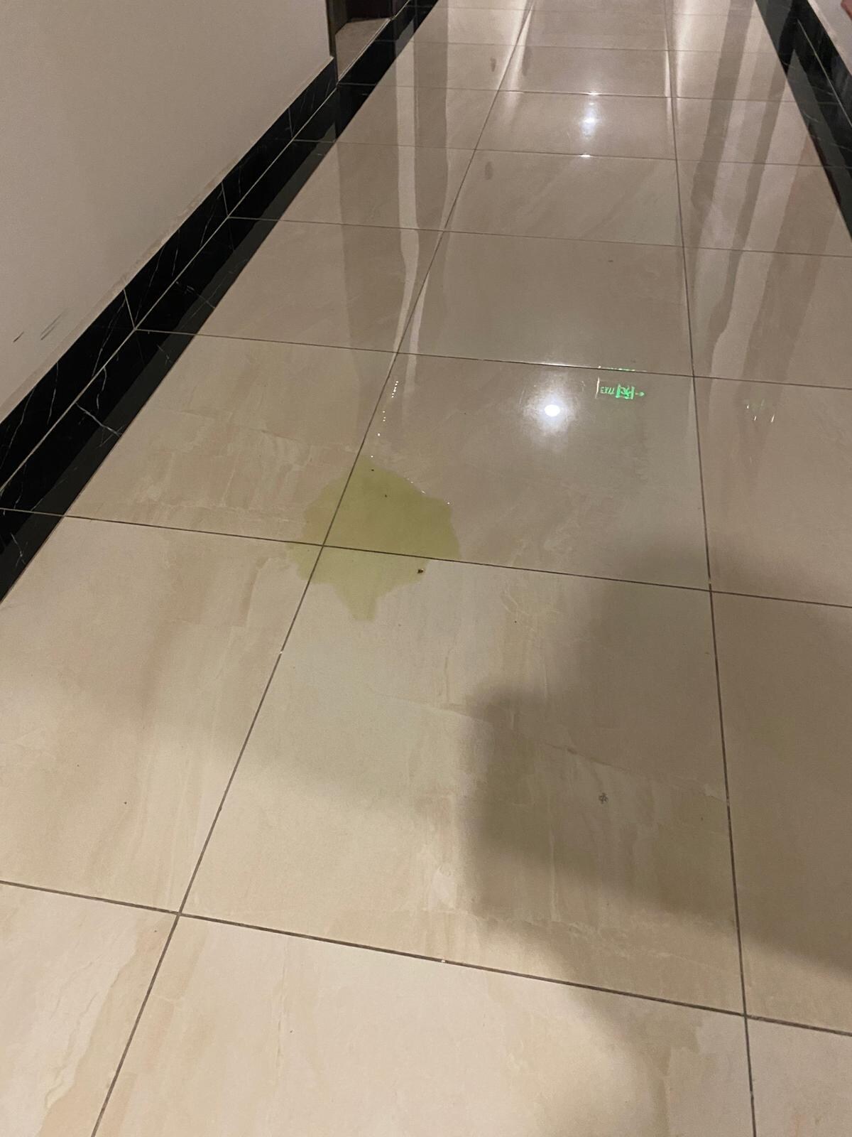 Yellow mystery liquid on hallway floor