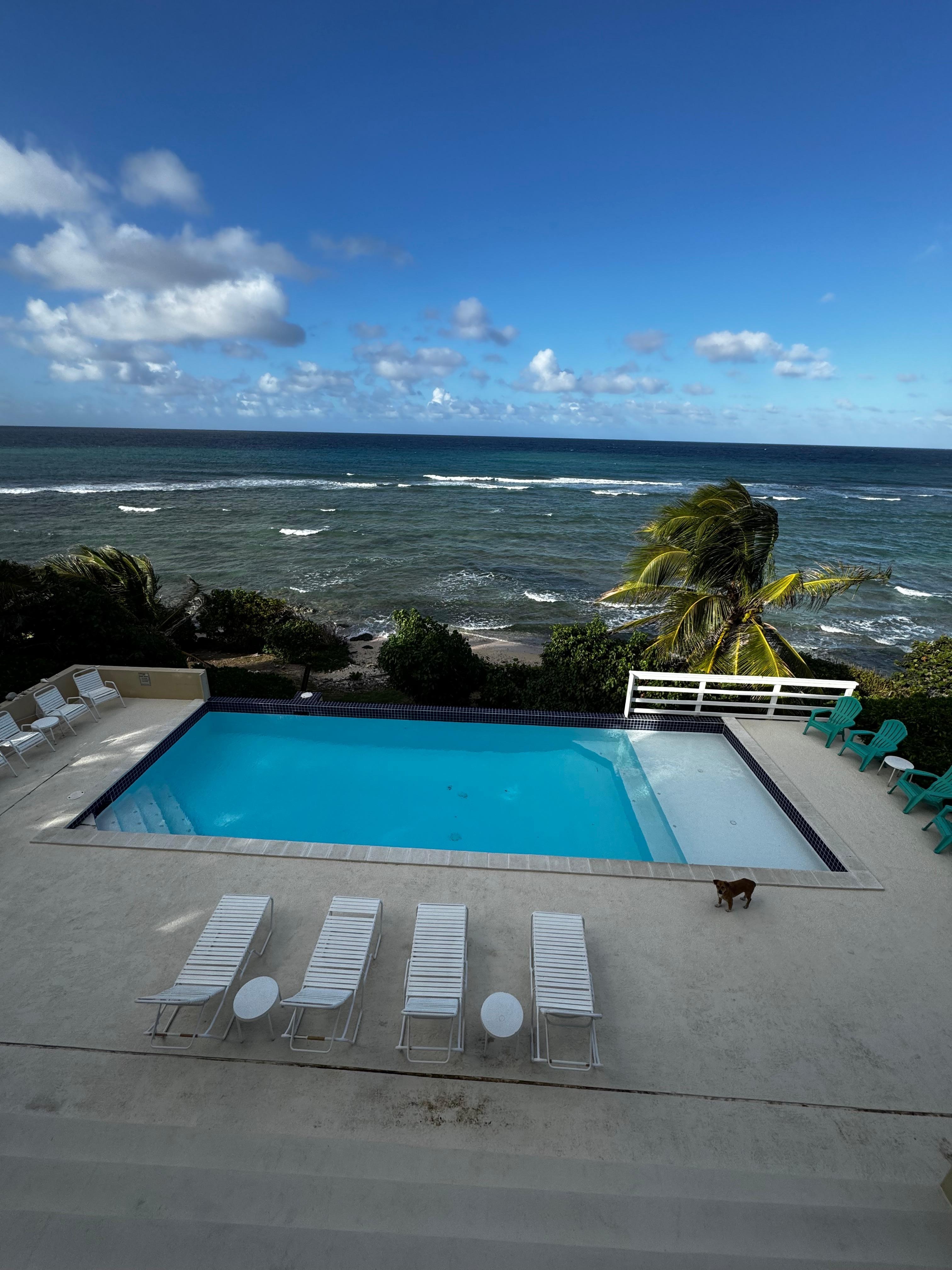 A perfect spot for the whole family.