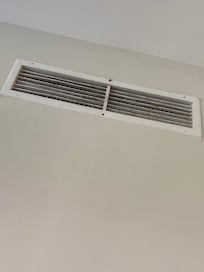 Mold in vents
