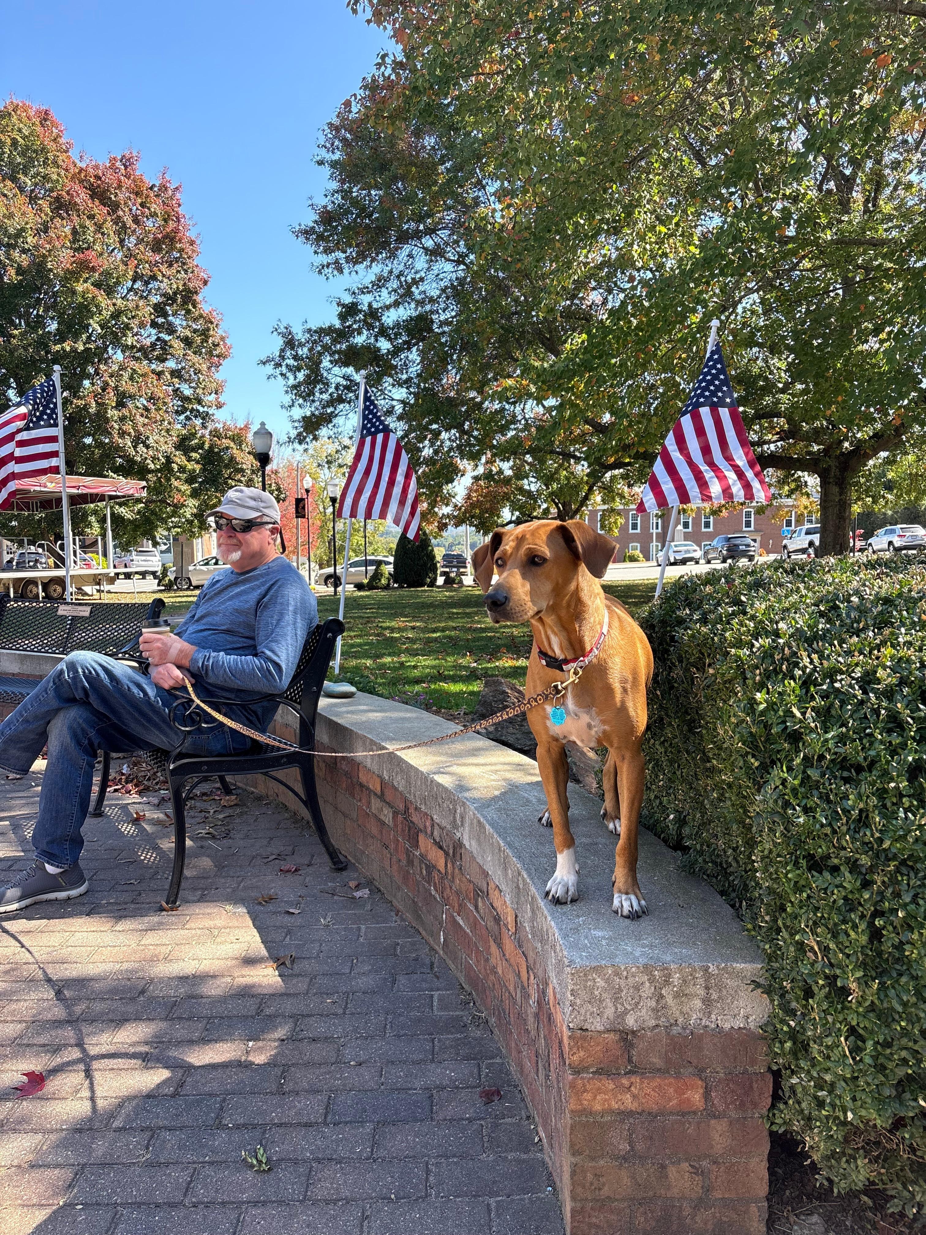 Burnsville.  Also dog friendly and we had latte's that satisfied from Appalachian Java.  Also, stop by Burnsville Barn Quilts. Beautiful items for your home. We purchased 2!