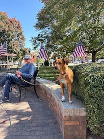 Burnsville. Also dog friendly and we had latte's that satisfied from Appalachian Java. Also, stop by Burnsville Barn Quilts. Beautiful items for your home. We purchased 2!