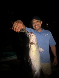 Big catfish!