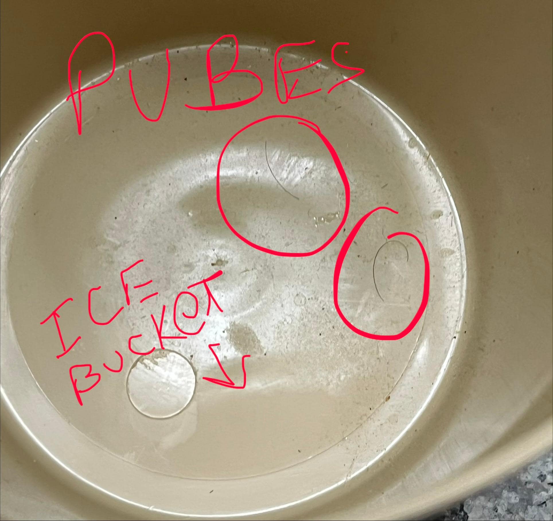 Pubes in ice bucket