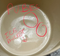 Pubes in ice bucket