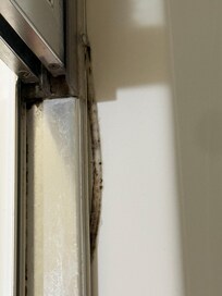 Mildew in shower