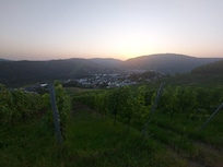 Sonnenuntergang über den Weinbergen von Bullay