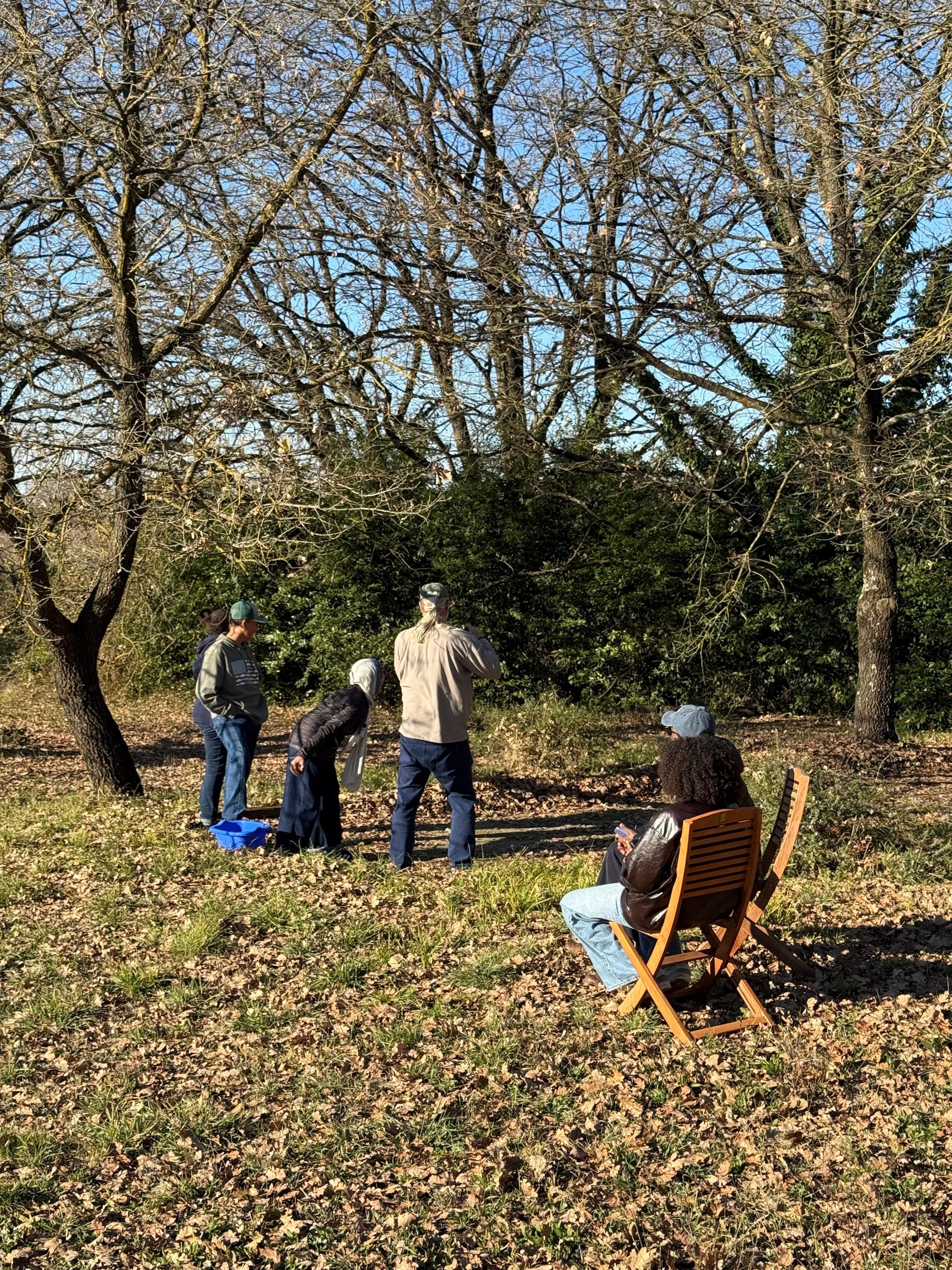 Bocce ball in the company of a beautiful old oak tree.