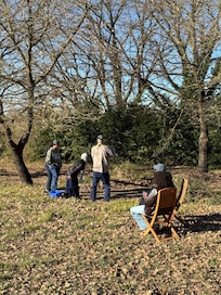 Bocce ball in the company of a beautiful old oak tree.
