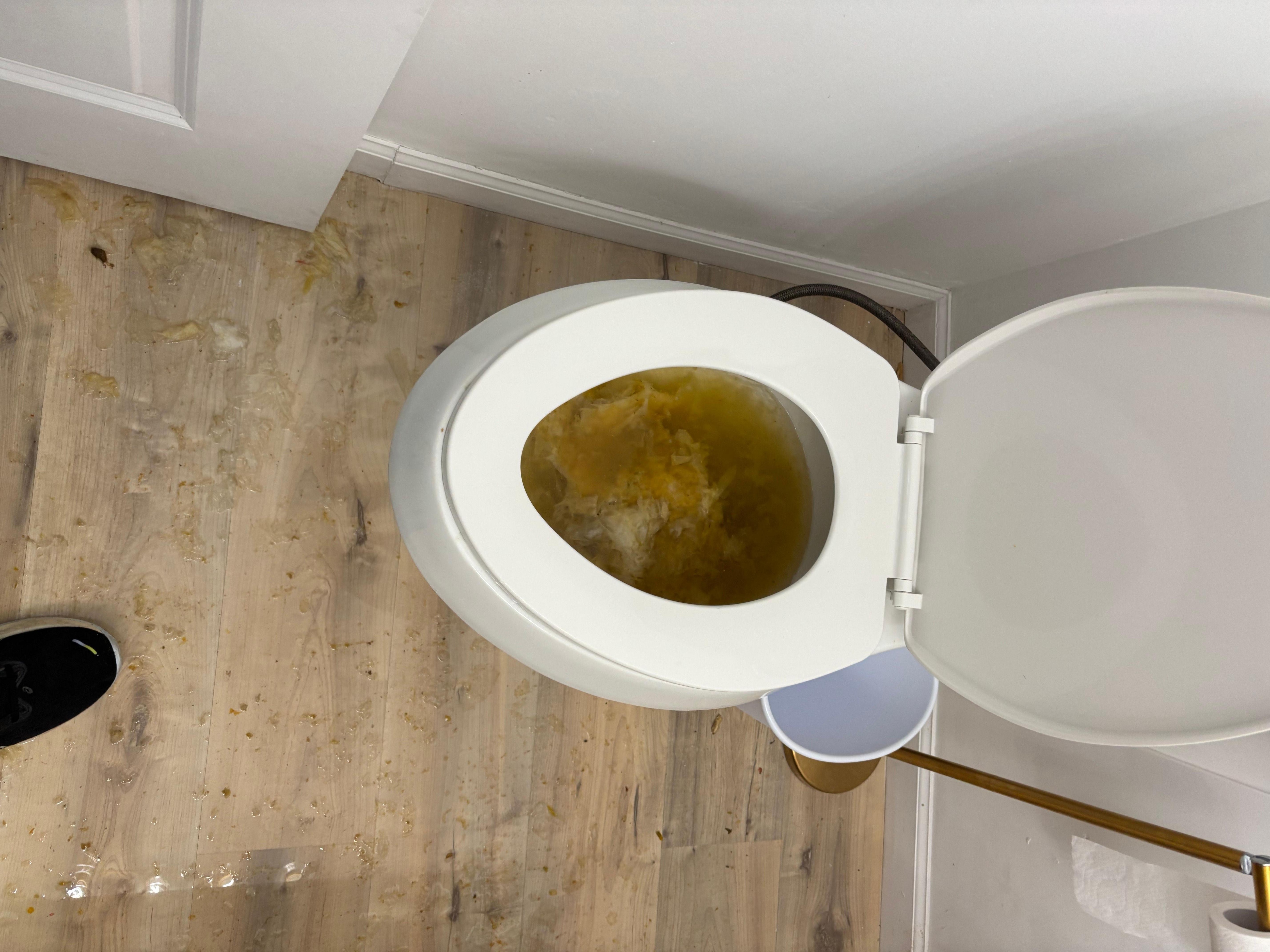 This is what we had to deal with. It was all over the bathroom floor.