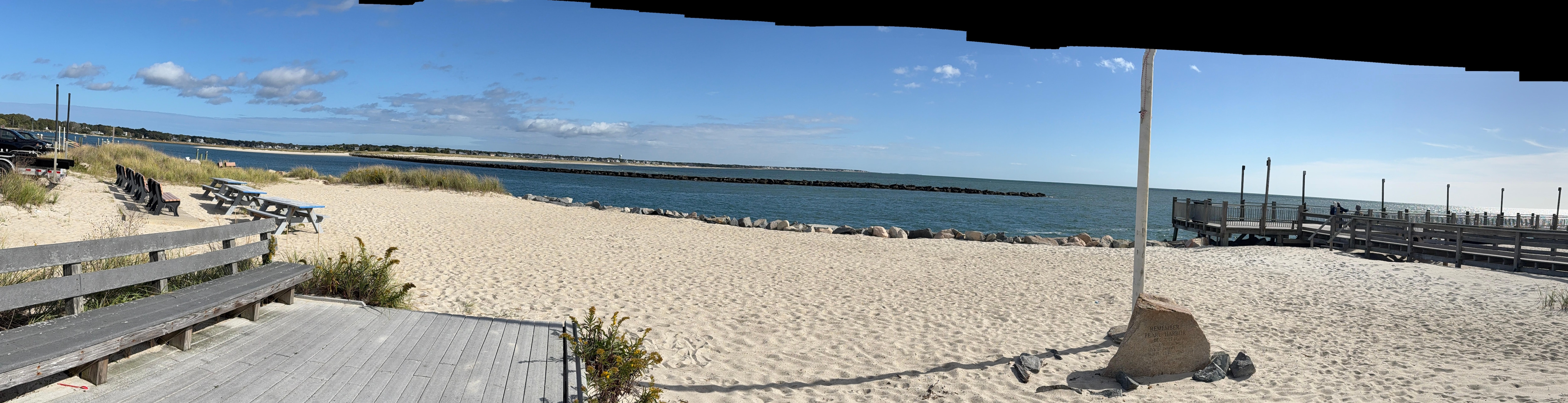 Seagull beach near the hotel