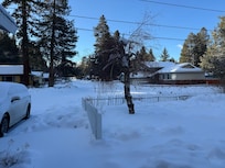 View from the front door after fresh snow fall