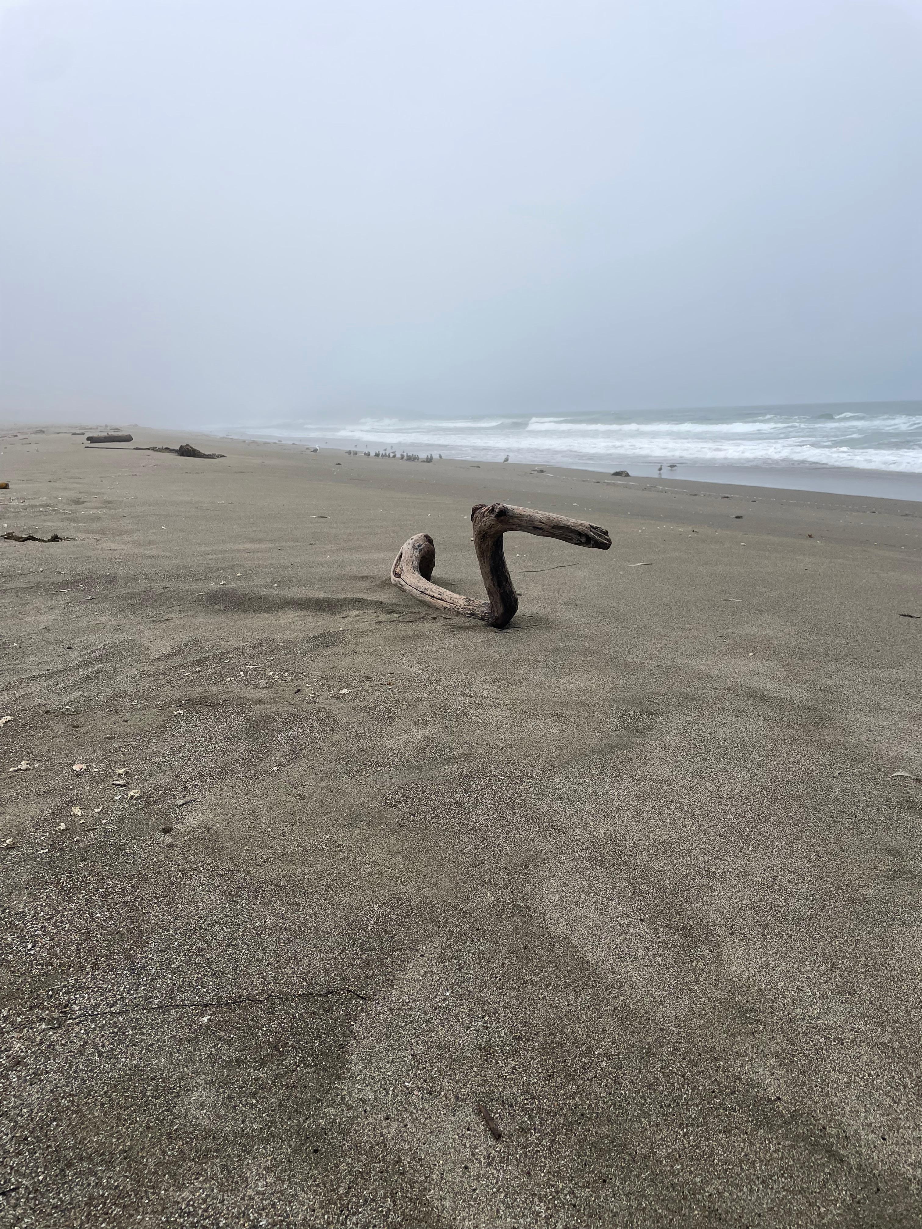Dunes beach behind house 