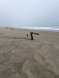 Dunes beach behind house
