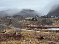 The area.