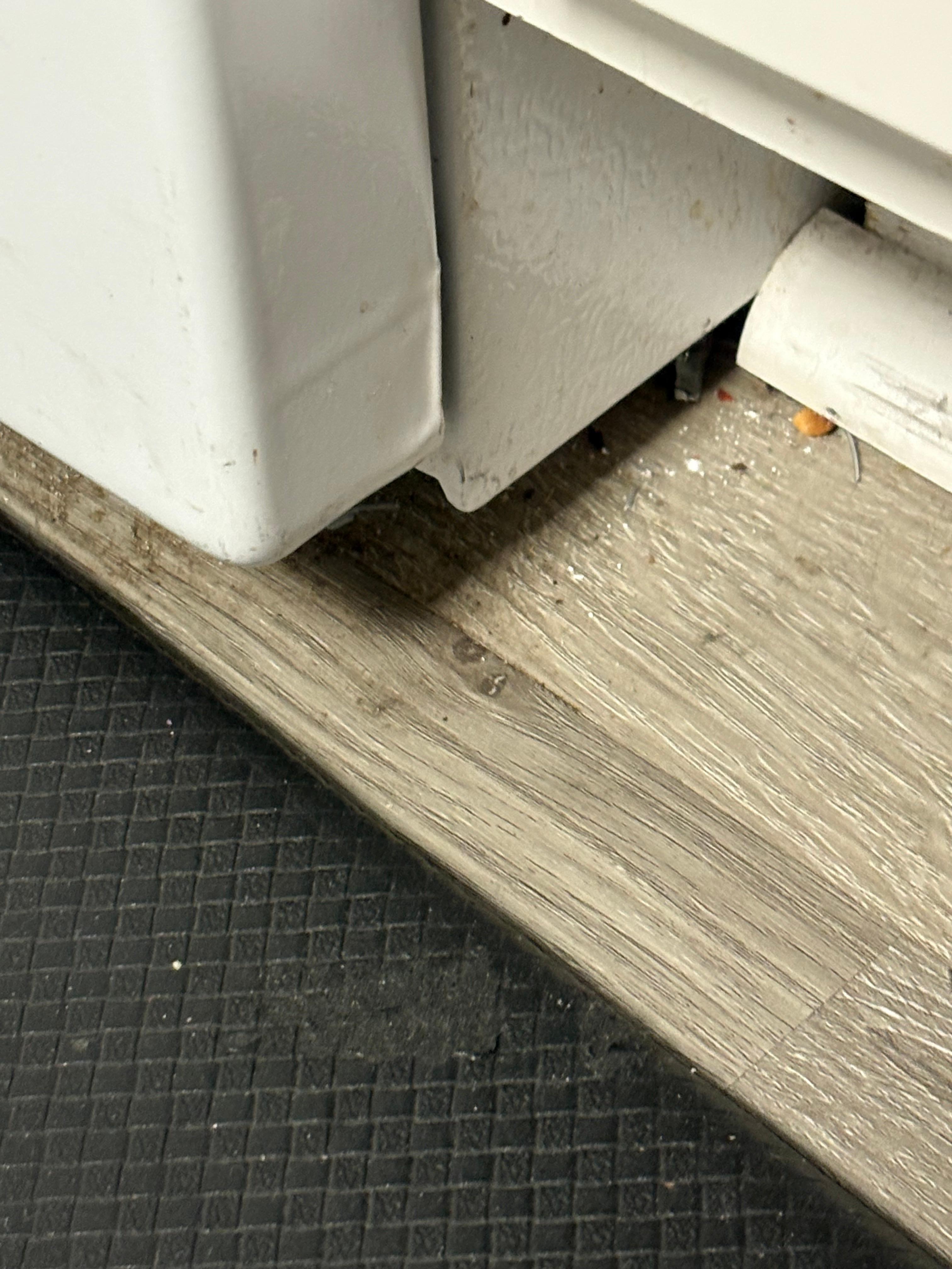 Food on floor by stove 