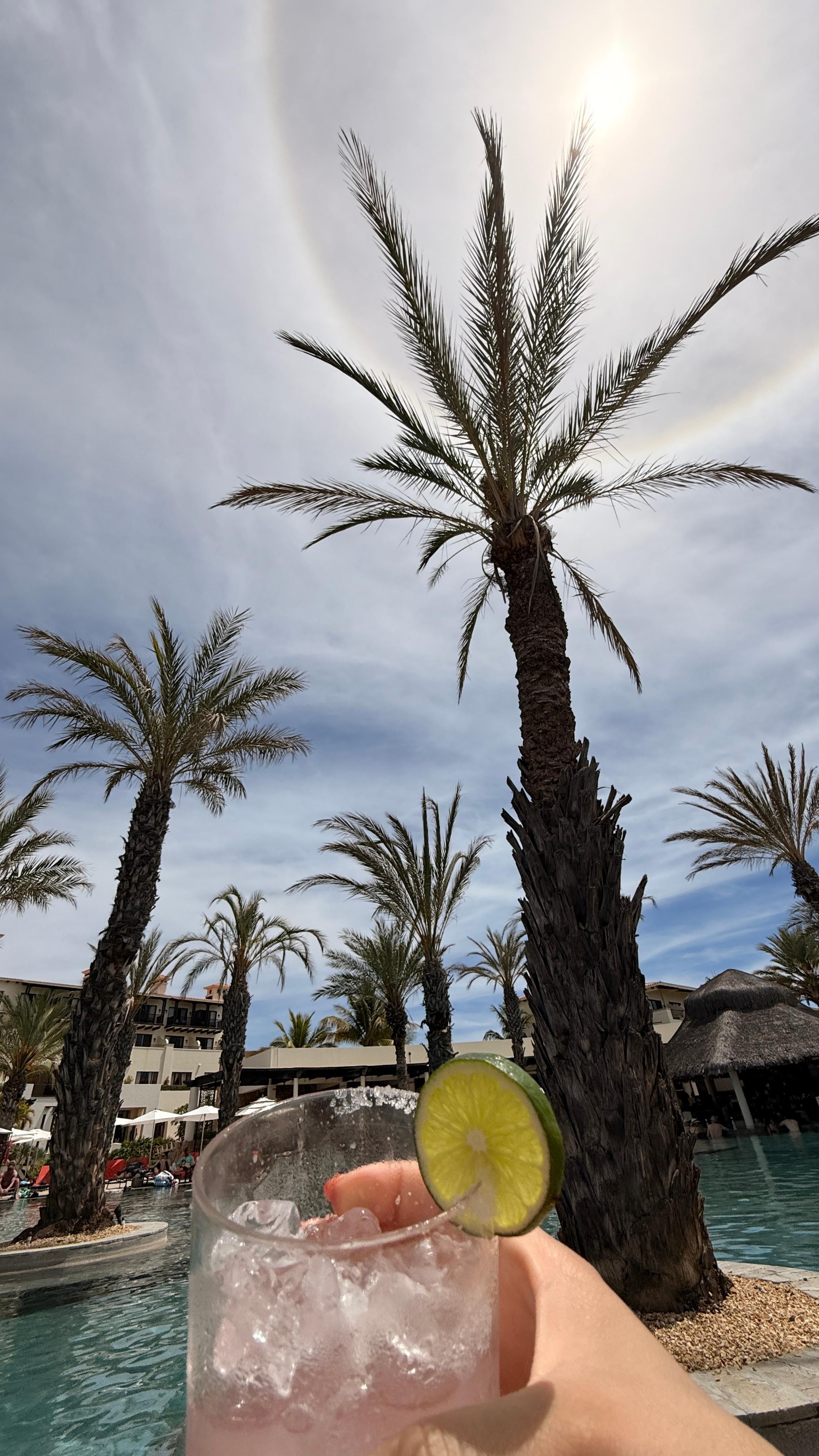 Pool was great and poolside bar was excellent. 