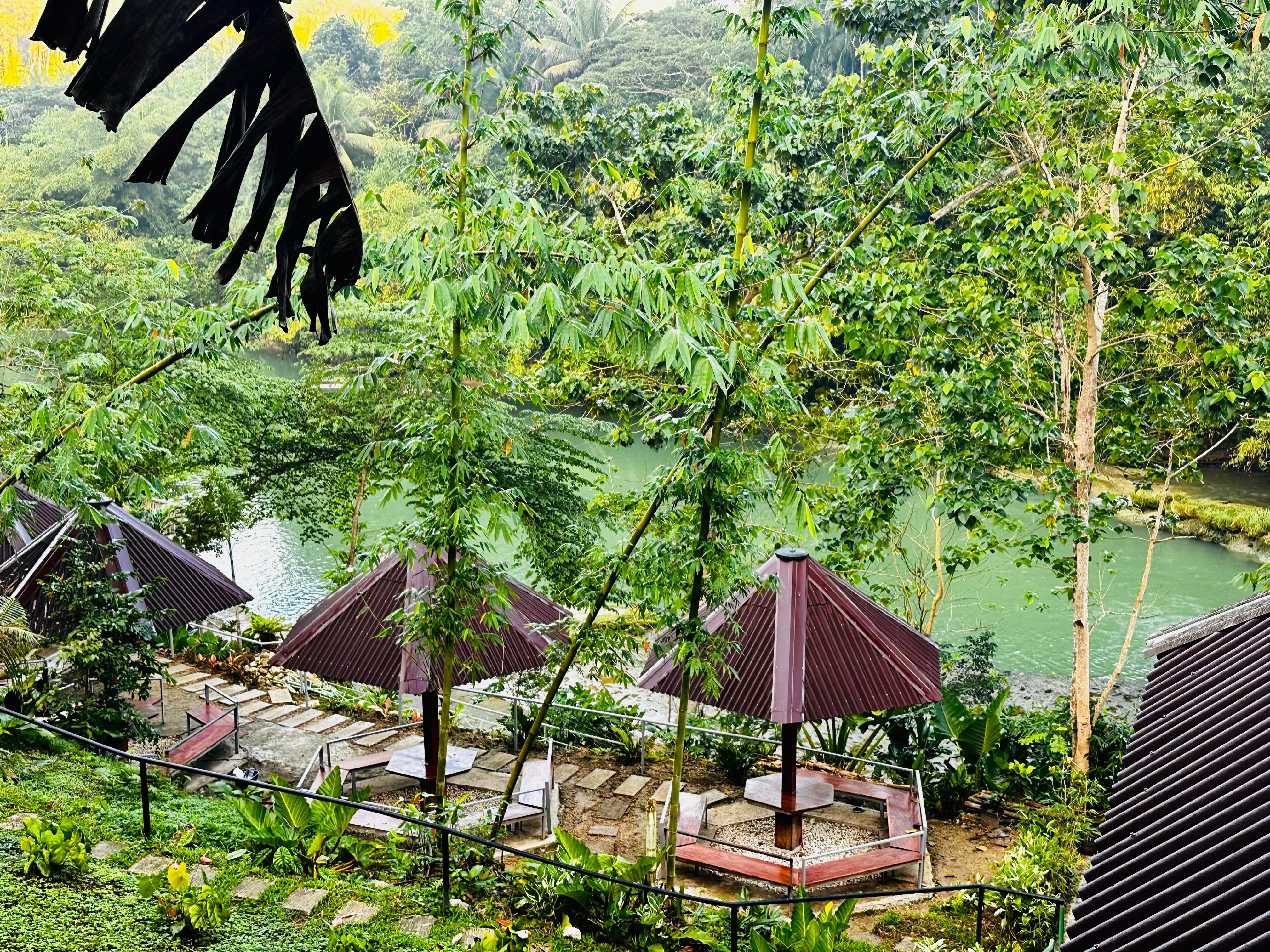 View from the top cabin