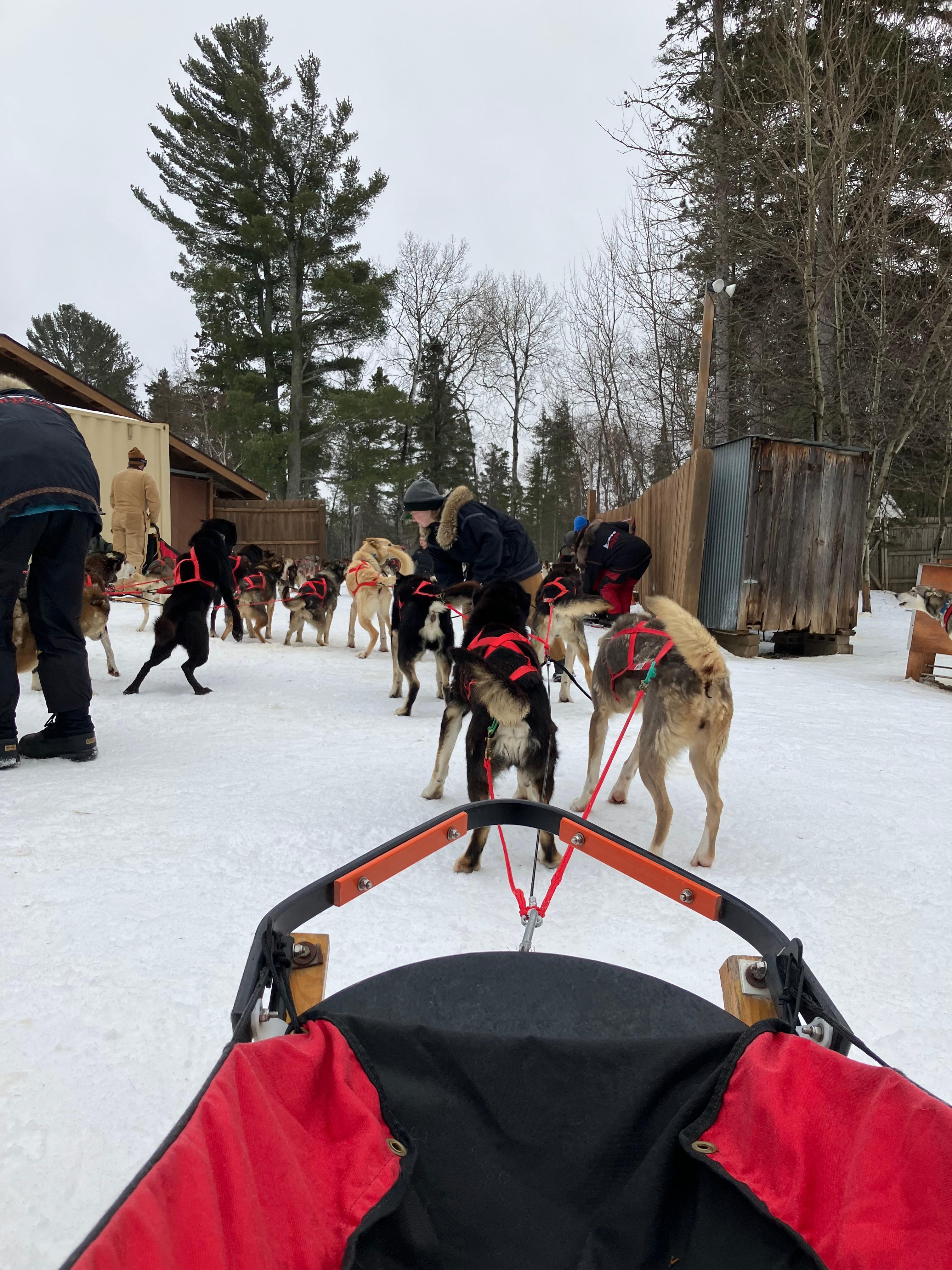 Chilly Dogs is an amazing adventure!