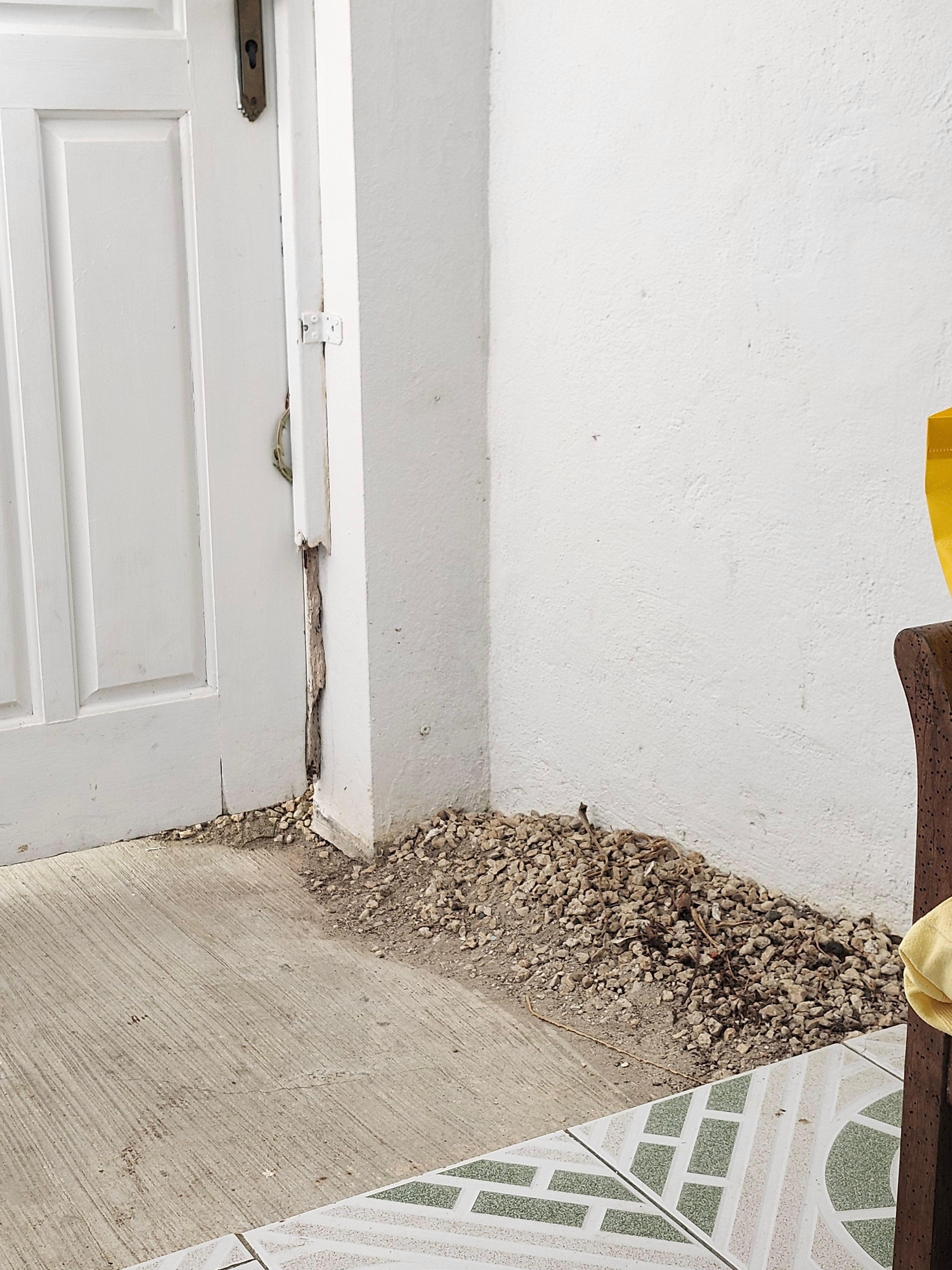 Un tas de cailloux qui nous acceuil sur notre "terrasse".