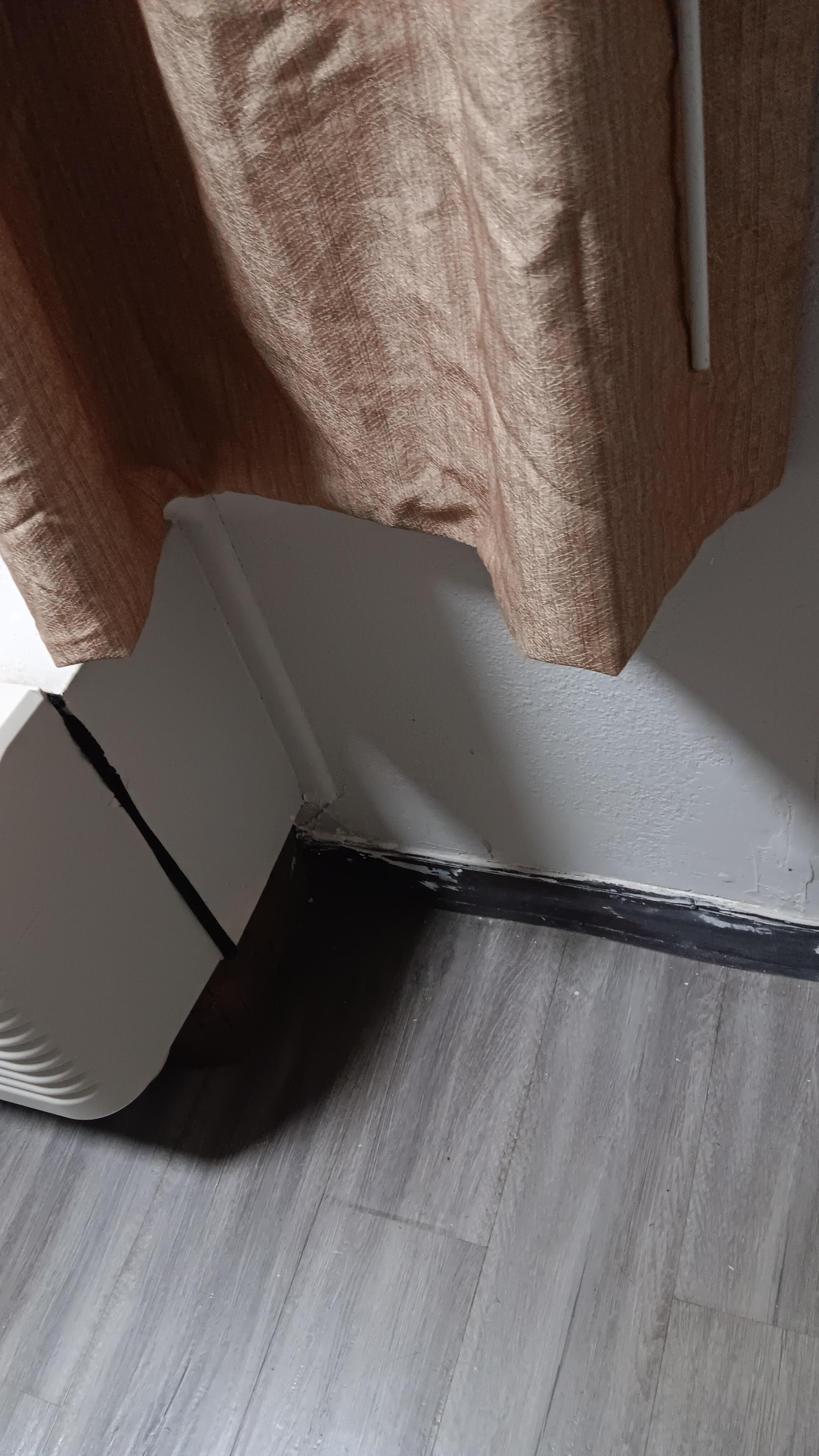 Dead roaches on the floor