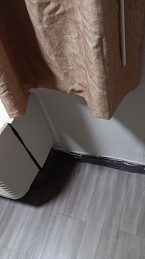 Dead roaches on the floor