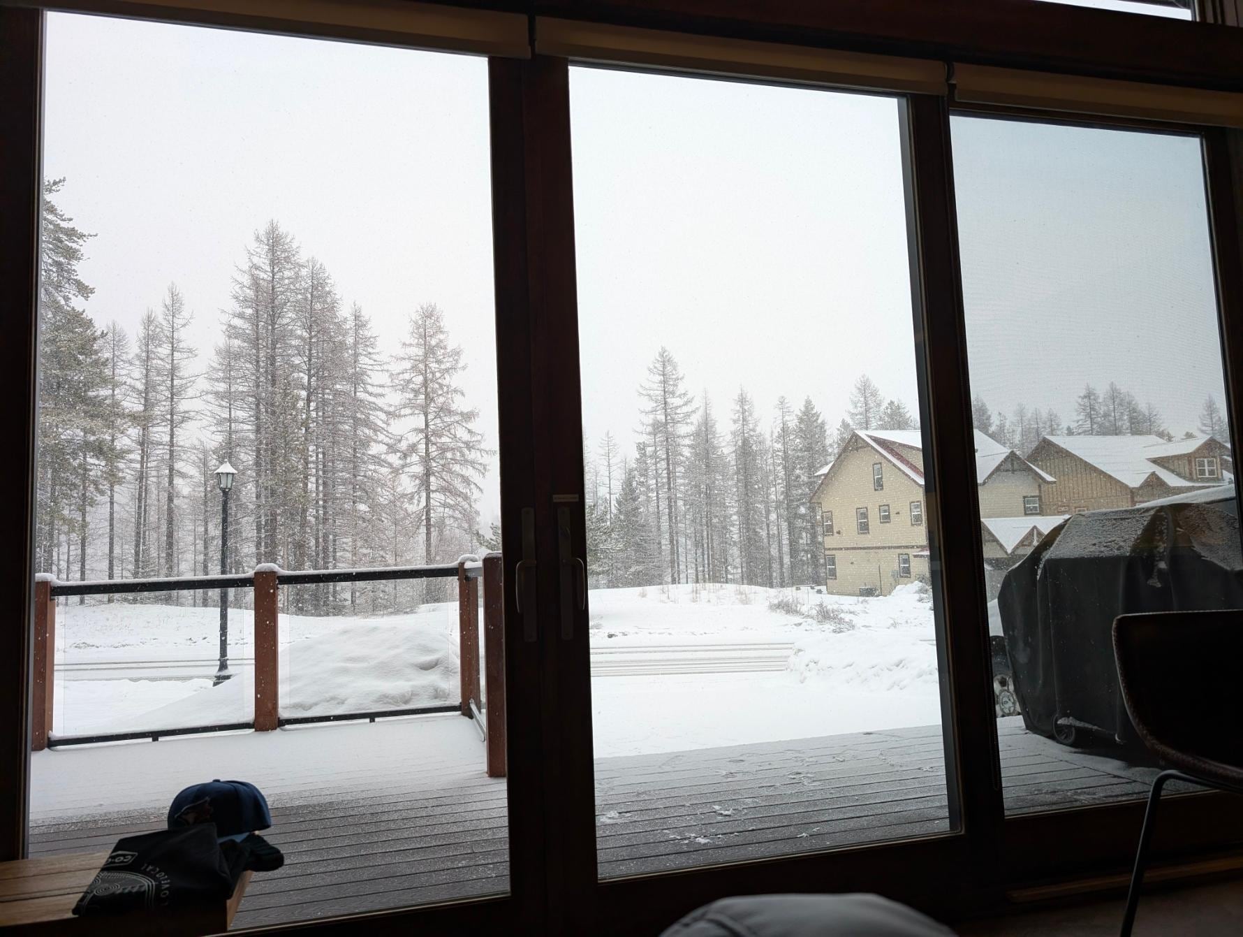 View from front window