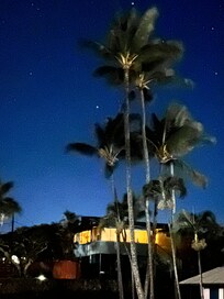 Lovely view of neighboring homes from back patio.
