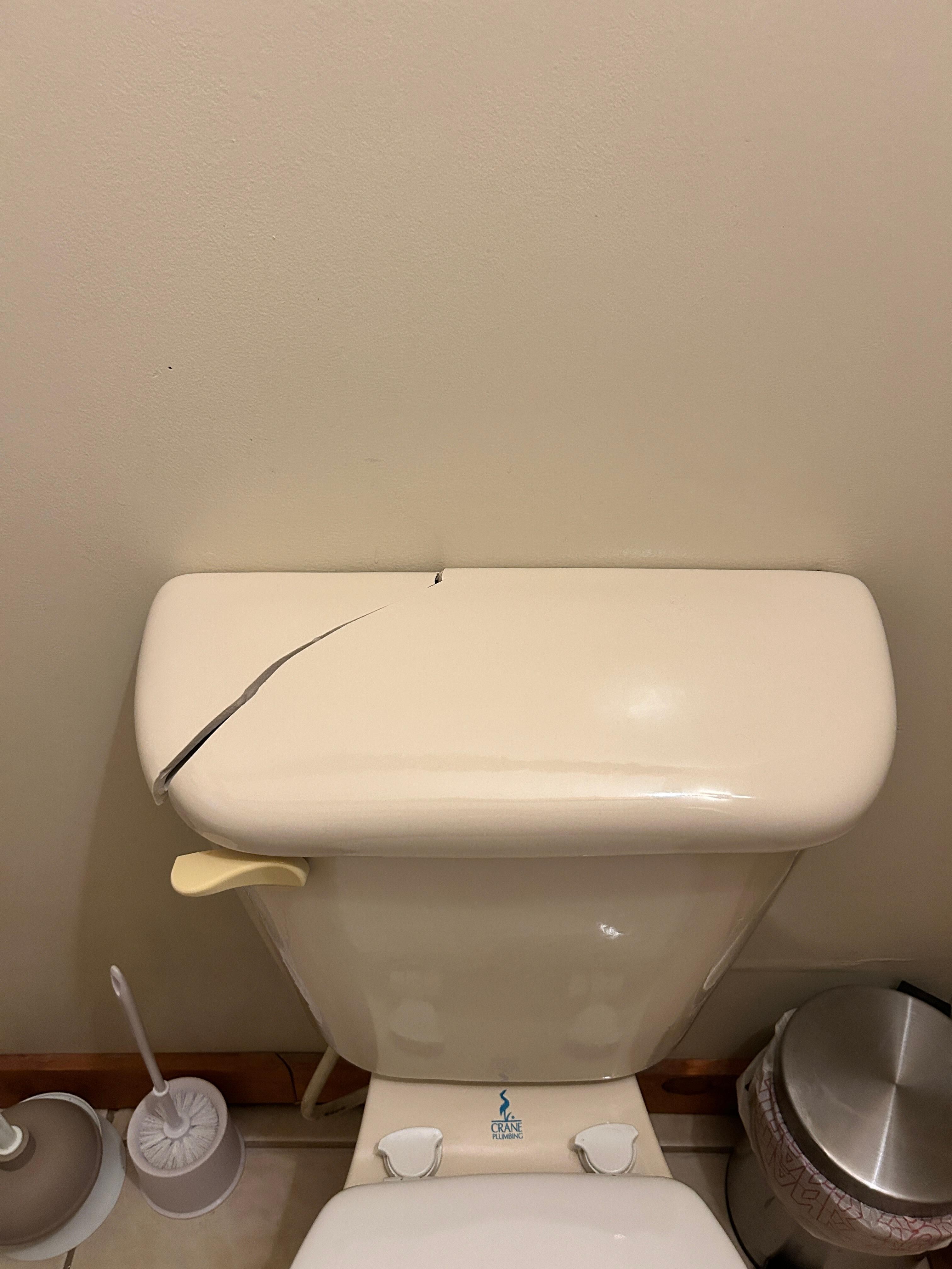 Toilet Master Bath