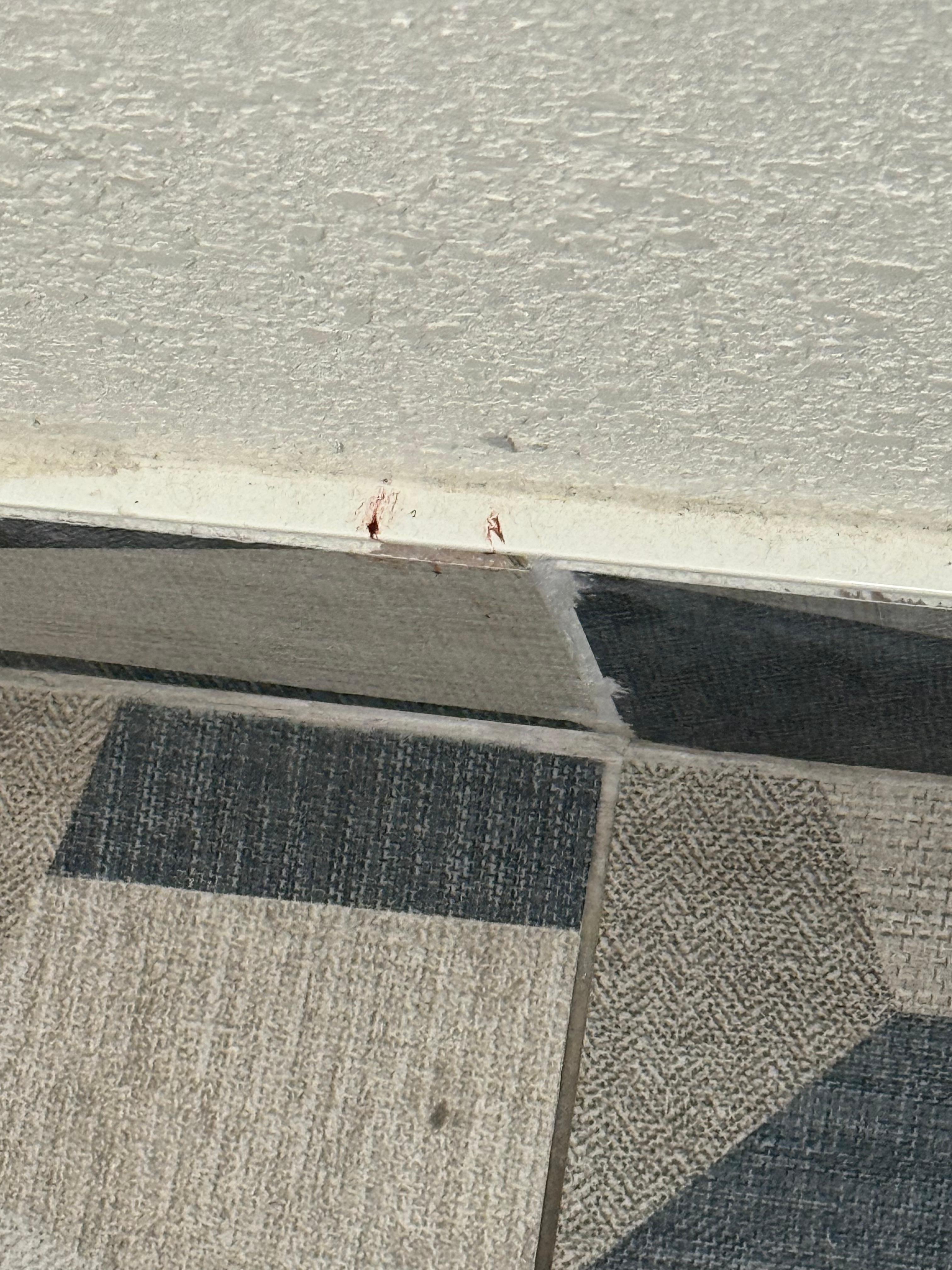 Blood on the bathroom baseboard 