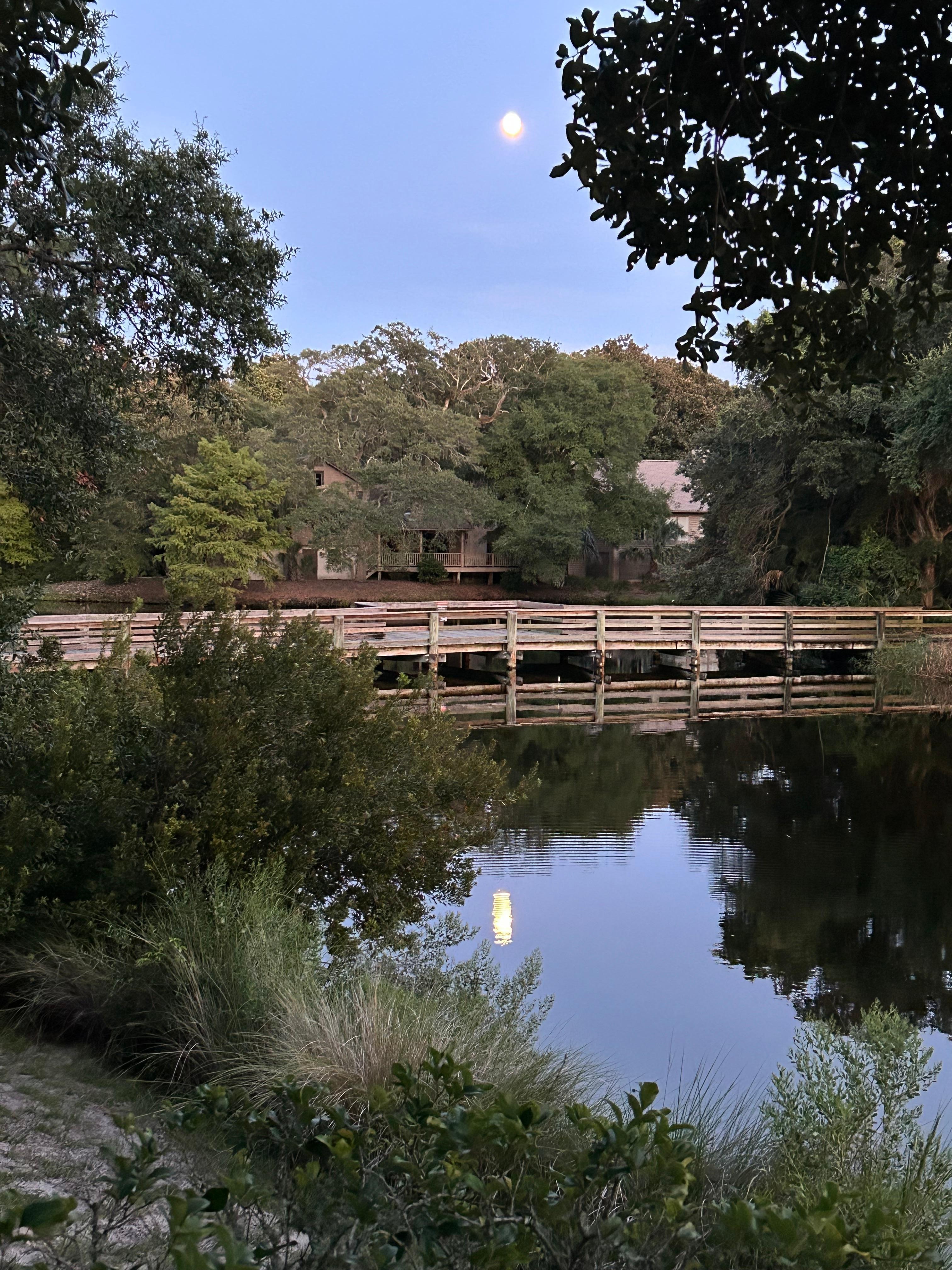 This one of the lovely views from the deck 