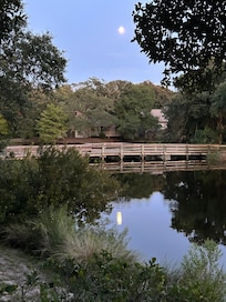 This one of the lovely views from the deck