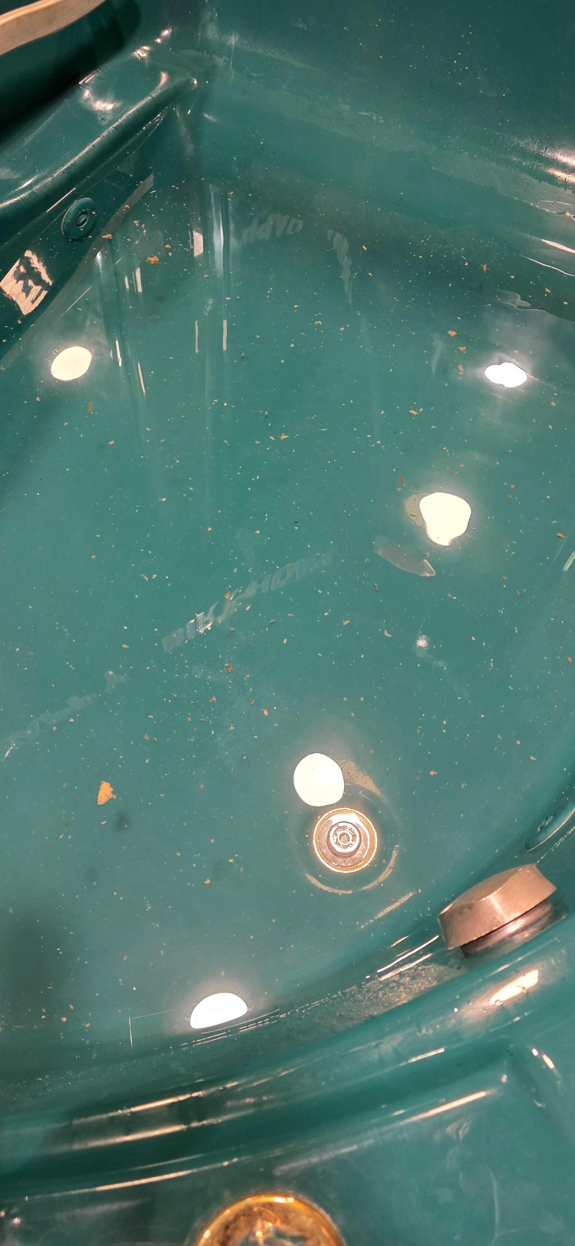 Unknown debri, small bugs, toenail clipping found in tub
