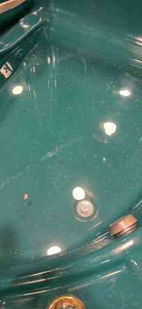 Unknown debri, small bugs, toenail clipping found in tub