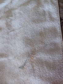 Makeup on the towel.