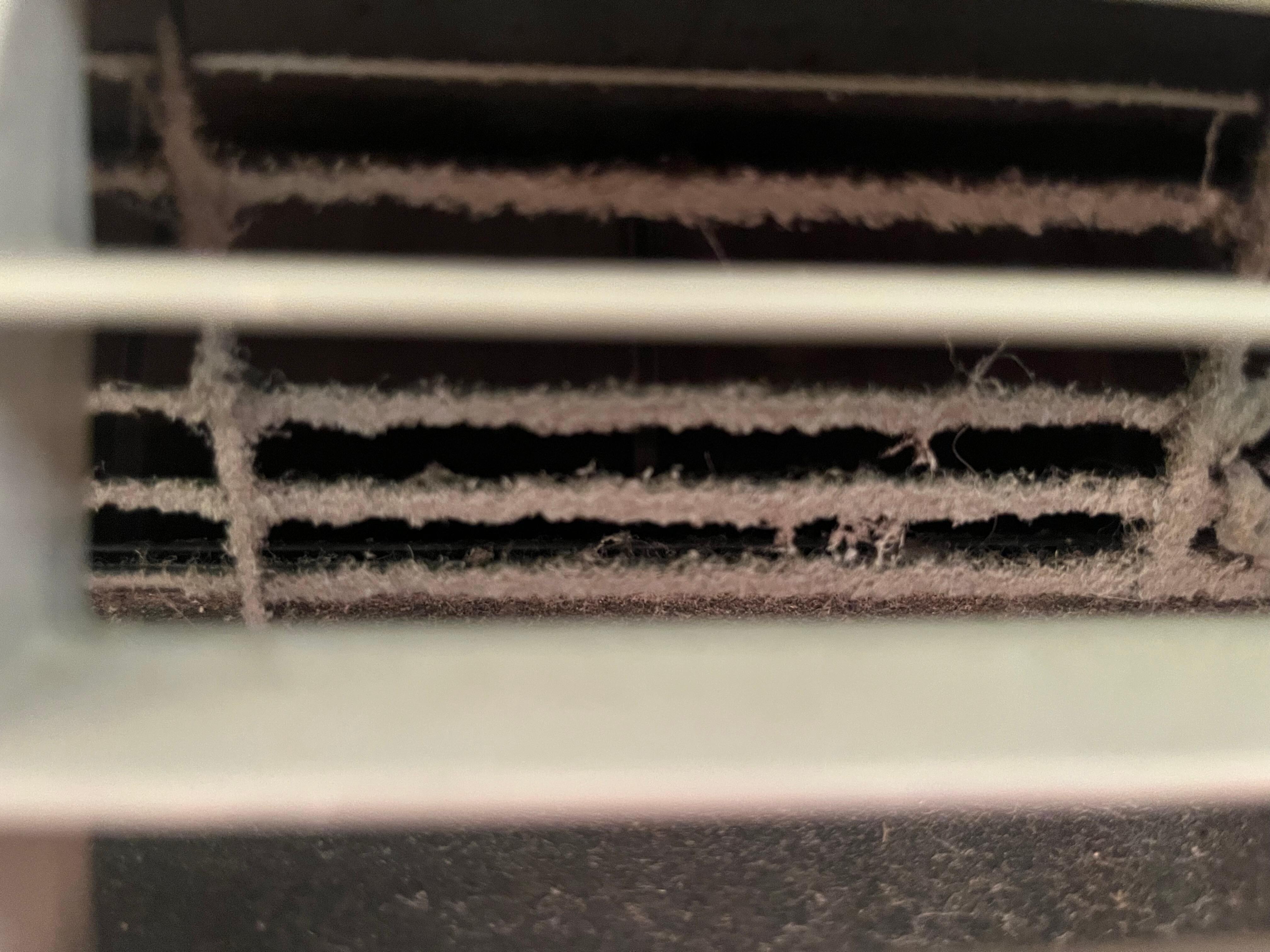 DUST CAKED IN VENTS