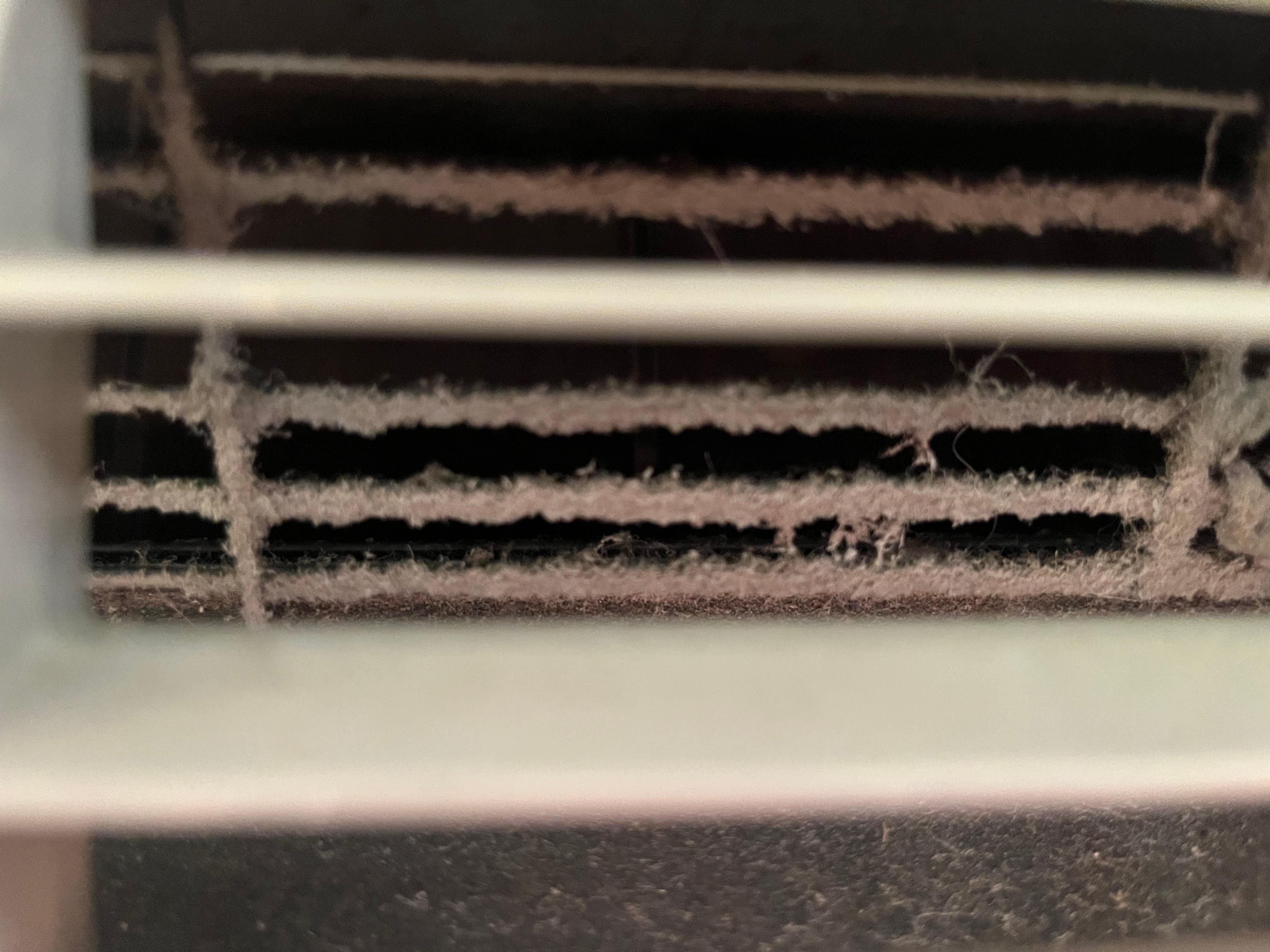 DUST CAKED IN VENTS